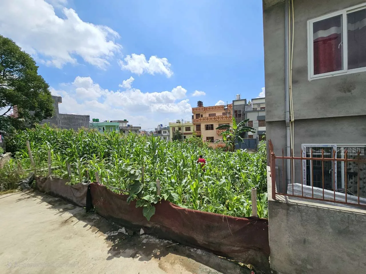 Land for sale in Kirtipur, Gamcha