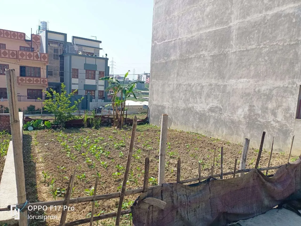 Land for sale in Kirtipur, Gamcha 2