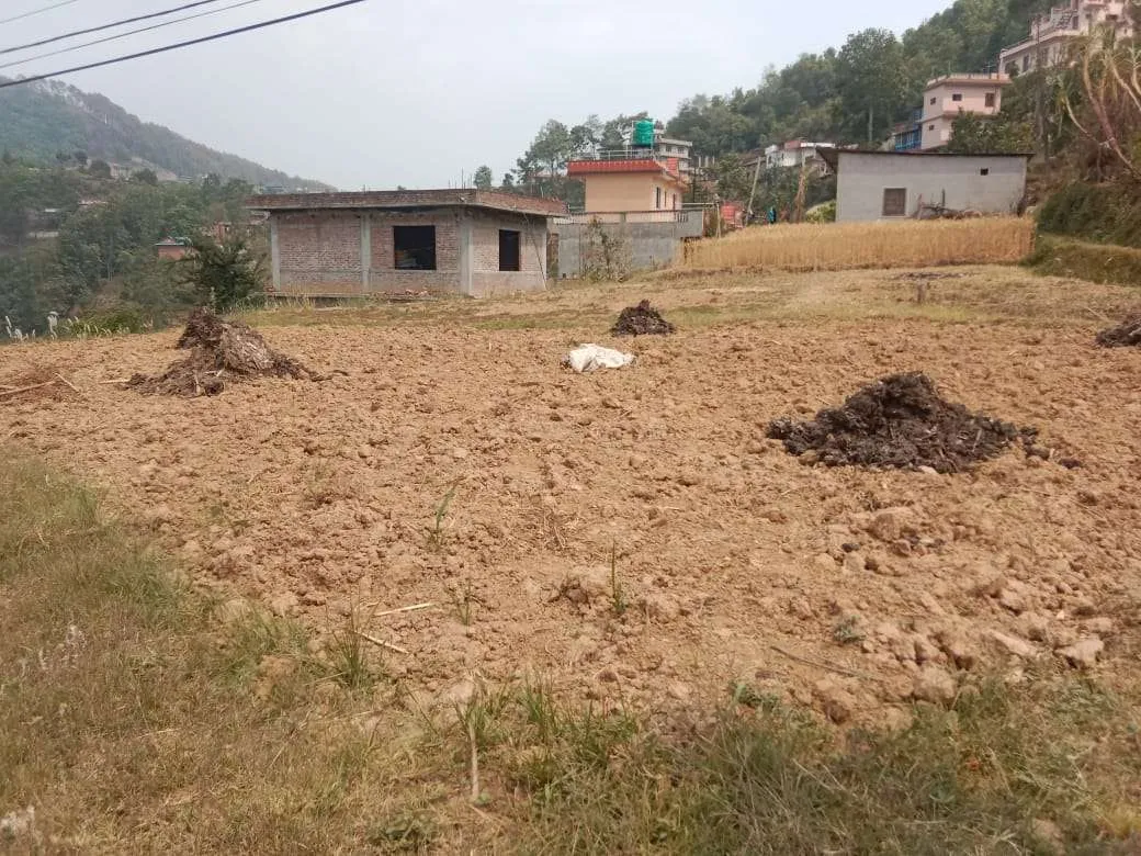 Land for sale in sanga 2