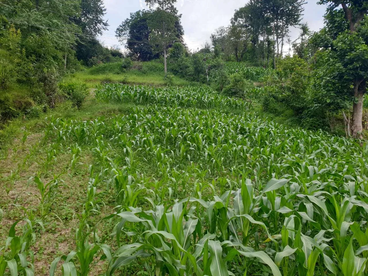 land for sale in Kavre, Dhulikhel